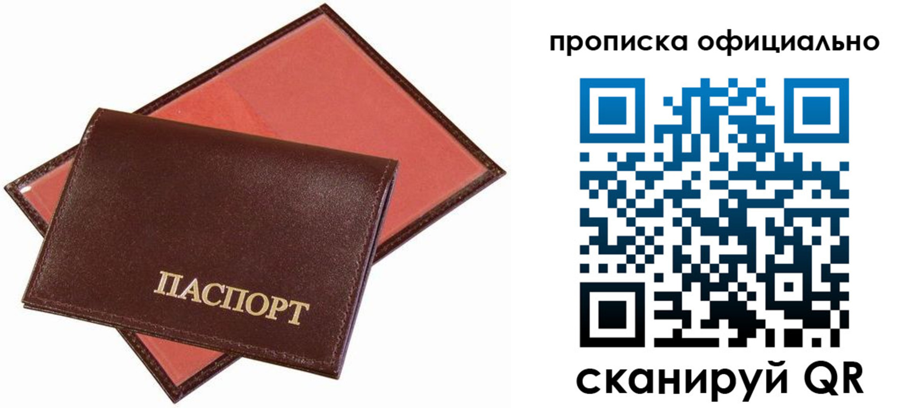 временная регистрация гарантия в Ставрополе